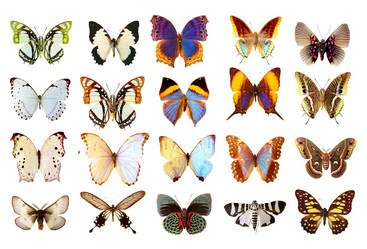 Similar image 671518