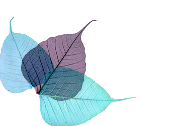 Similar image 671520