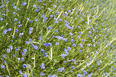 Similar image 671531