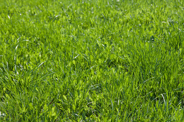 Similar image 671532