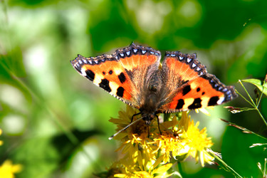 Similar image 671533