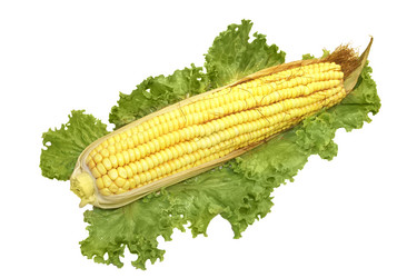 Similar image 671534