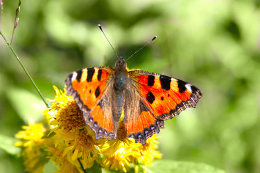 Similar image 671535