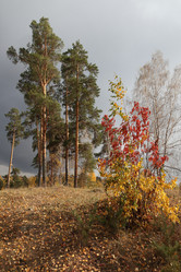 Similar image 671541