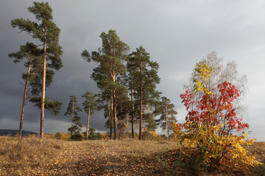 Similar image 671542