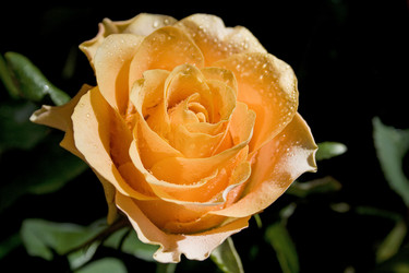 Similar image 671556