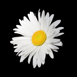 Similar image 671560