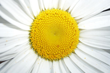 Similar image 671561