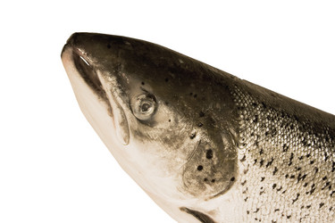 Similar image 671566