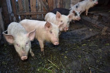 Similar image 671580