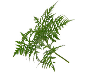 Similar image 671585