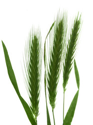 Similar image 671587