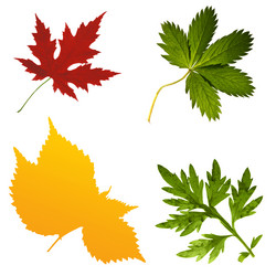 Similar image 671588