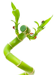 Similar image 671591