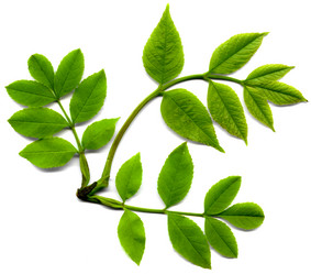 Similar image 671618