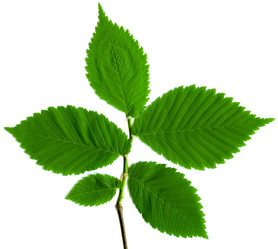 Similar image 671620