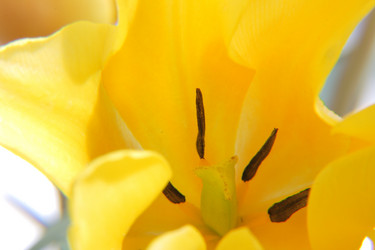 Similar image 671628