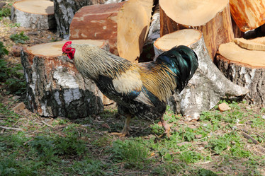 Similar image 671630