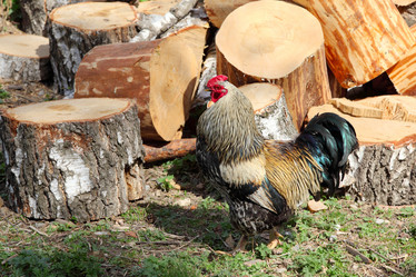 Similar image 671631