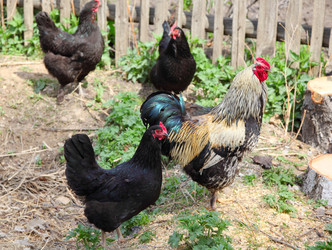 Similar image 671633