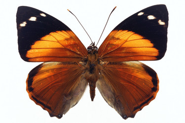 Similar image 671641