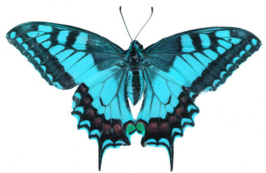 Similar image 671643