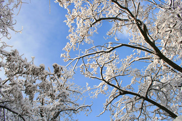 Similar image 671647