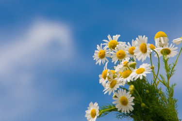 Similar image 671650