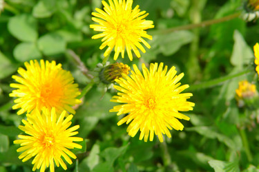 Similar image 671662