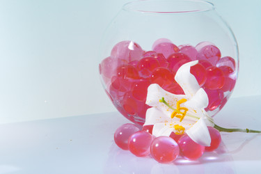 Similar image 671665