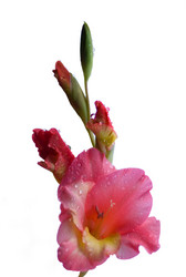 Similar image 671673