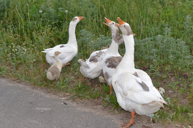 Similar image 671678