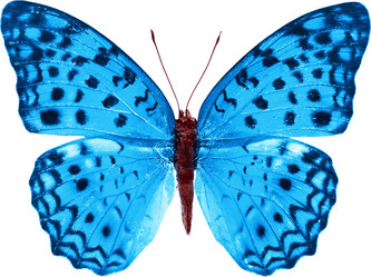 Similar image 671684