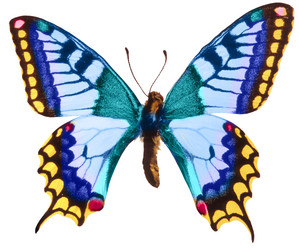 Similar image 671689