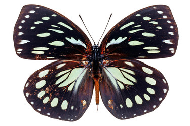 Similar image 671693