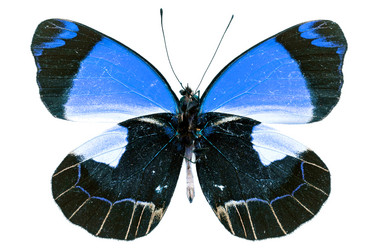 Similar image 671694