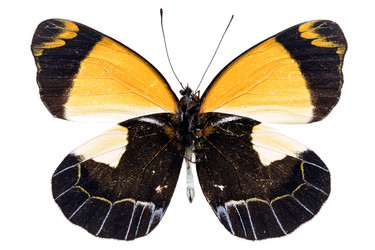 Similar image 671695