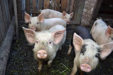 Similar image 671700