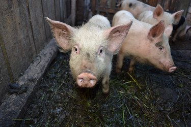 Similar image 671701