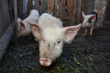 Similar image 671702