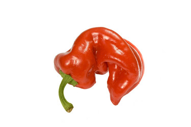 Similar image 671722