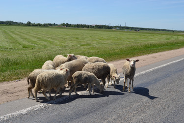 Similar image 671725