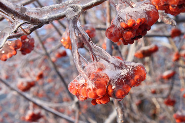 Similar image 671742