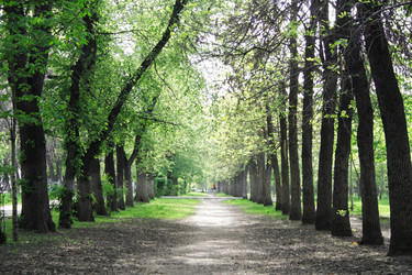 Similar image 671749