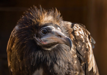 Similar image 671756