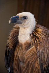 Similar image 671760