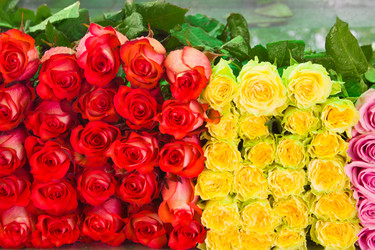 Similar image 671762