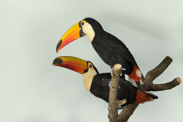 Similar image 671766