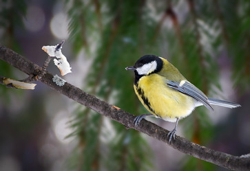 Similar image 671771