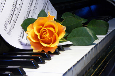 Similar image 671778